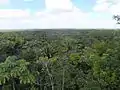 Chiquibul Forest Reserve, Belize